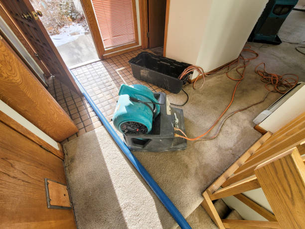 Best Water damage restoration insurance claims  in Chilhowie, VA