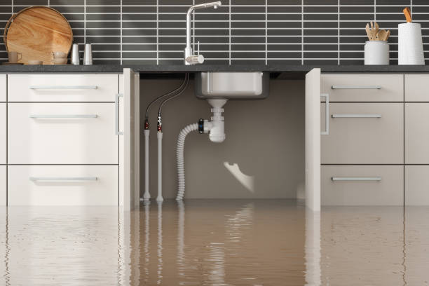 Best Professional water damage repair  in Chilhowie, VA