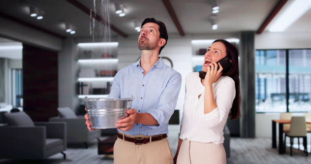 Best Water damage contractors near me  in Chilhowie, VA